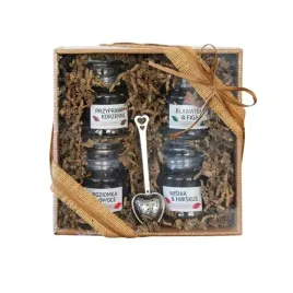 zestaw-prezentowy-4-herbat-lisciastych-zaparzacz-or-sindibad-tea