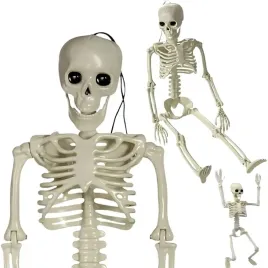 szkielet-czlowieka-wiszacy-40cm-dekoracja-halloween-kosciotrup-sztuczny