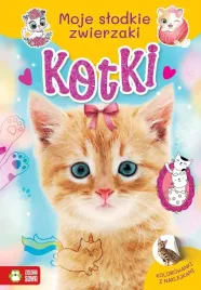 kotki-moje-slodkie-zwierzaki