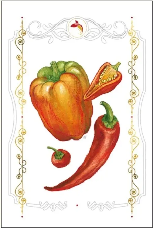 karnet-davinci-12x18-papryki-b-bd-502-062-stan-nowy