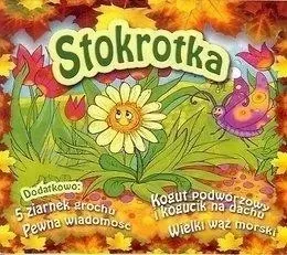 stokrotka-cd