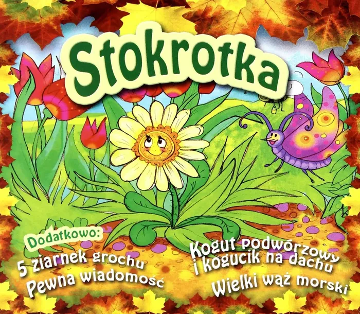stokrotka-cd-stan-nowy
