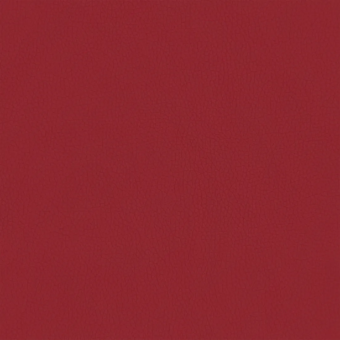 wezglowie-wiszace-ekoskora