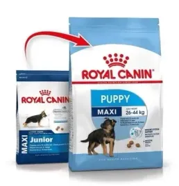royal-canin-shn-maxi-junior-15-kg-krakow