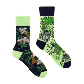 wesole-skarpetki-koala-44-46