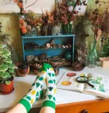 skarpetki-forest-36-41-stan-nowy