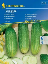 ogorek-salatkowy-delikate-dobre-nasiona