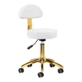 taboret-kosmetyczny-am-304g-zloto-bialy