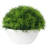 trawa-kula-w-bialej-donicy-25-cm