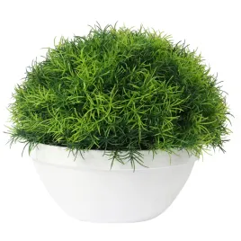 trawa-kula-w-bialej-donicy-25-cm
