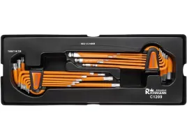 wklad-imbusy-15-10-mm-torx-t10-t50-18-elementow-richmann-c1209