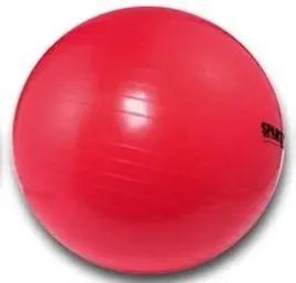 pilka-gimnastyczna-spartan-95-cm
