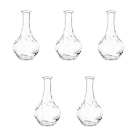 5-szt-wazon-szklany-bezbarwny-17-cm-elegancki-viljestark