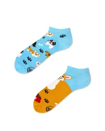 skarpety-playful-dog-low-many-mornings-43-46