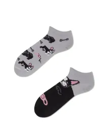 stopki-w-pieski-tiny-little-dogs-low-many-mornings-39-42