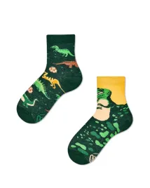 skarpety-the-dinosaurs-kids-many-mornings-27-30