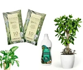 ziemia-do-kwiatow-domowych-2x10l-nawoz-do-roslin-zielonych-1l-premium
