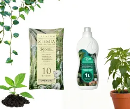 ziemia-do-monstery-palm-fikusow-10l-nawoz-do-kwiatow-domowych-1l