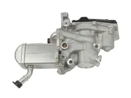 zawor-egr-z-chlodnica-renault-1-9-d-grand-scenic-iii-megane-iii-scenic-iii