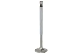 zawor-ss-061ve32006100-mah