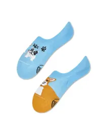 mikrostopki-playful-dog-noshow-many-mornings-43-46