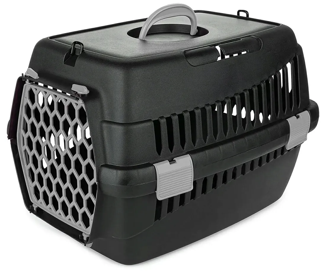 transporter-teddy-m-szary