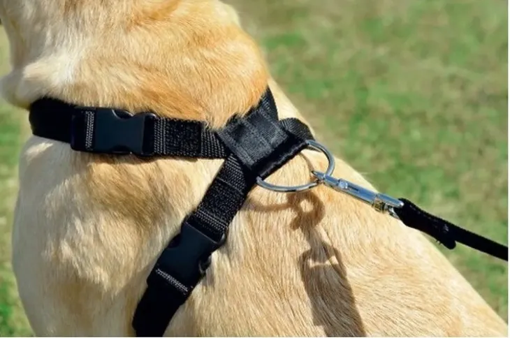 zolux-smycz-do-samochodu-dla-psa-46-71cm-waga-z-opakowaniem-0-15-kg