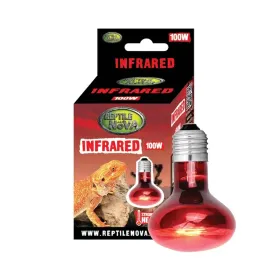 reptile-nova-zarowka-grzewcza-uva-podczerwona-inrared-100w