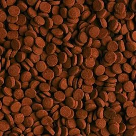 tropical-carnivore-100g-wysokobialkowy-pokarm-dla-ryb-akwariowych-granulat