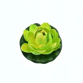 lilia-do-oczka-wodnego-zielona-10cm