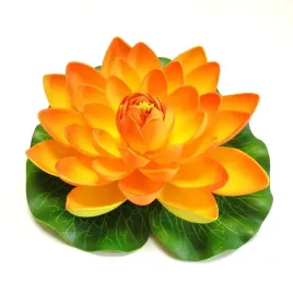 lilia-do-oczka-wodnego-pomaranczowa-28cm