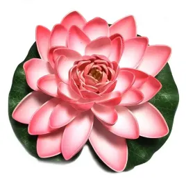 lilia-do-oczka-wodnego-rozowa-28cm