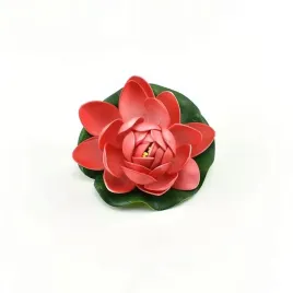 lilia-do-oczka-wodnego-czerwona-10cm