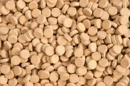 tabletki-allium-100g-czosnek-pokarm-przylepny
