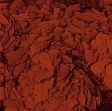tropical-astacolor-11l-2kg-waga-z-opakowaniem-2-kg