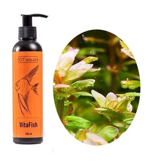 gt-aqua-vitafish-200ml-witaminy-dla-ryb-waga-z-opakowaniem-0-6-kg