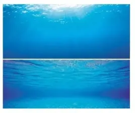 juwel-poster-2-l-fototapeta-100x50cm-fototapeta
