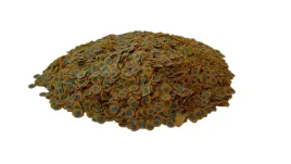tetra-pro-algae-95g-500ml-pokarm-roslinny