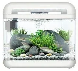 invital-easytank-cascade-led-7-litrow-bialy