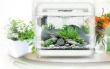 invital-easytank-cascade-led-7-litrow-bialy-stan-nowy