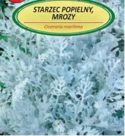 nasiona-kolekcjonerskie-232-starzec-popielny