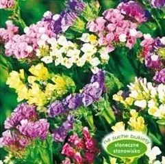 nasiona-kolekcjonerskie-239-zatrwian-wrebny-mix