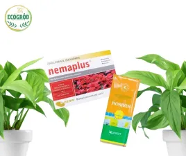 nemaplus-1mln-tablice-zolte-na-szkodniki-zestaw-na-ziemiorki-muszki