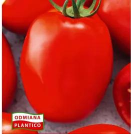 n03-nasiona-kolekcjonerskie-pomidor-gruntowy-karlowy-lambert