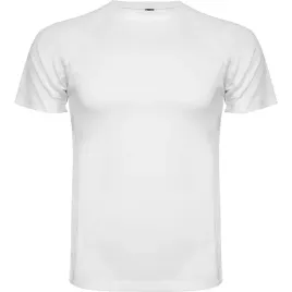 koszulka-sportowa-meska-t-shirt-control-dry-roly-0425-biala-m