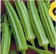 nasiona-kolekcjonerskie-n157-okra-ketmia