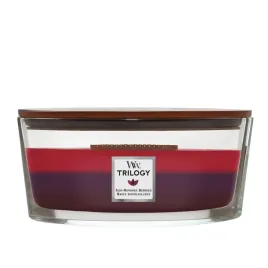 woodwick-trilogy-sun-ripened-berries-elipsa-453-g-drewniany-knot