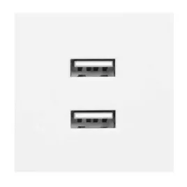 port-modulowy-z-ladowarka-2xusb-or-gm-9010-w-usbx2