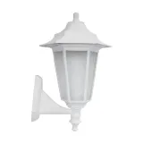 oprawa-ogrodowa-begonya2-white