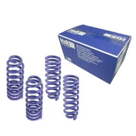 sprezyny-obnizajace-handr-28757-2-audi-a4-b9-sedan-niebieskie-przod-tyl